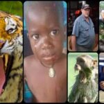 Top Ten Scariest Wildest Animal Attacks On Humans of 2022