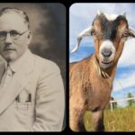 John Brinkley: The Medical Doctor That Cured Impotence Using Goat Test!clez