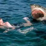True Story Of How I Survived a Shark Attack