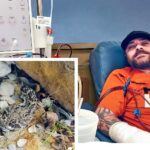 Shocking!! This Man Beheaded a Snake But The Half Snake Bit Him- Jeremy Sutcliffe