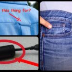 10 Popular Things That You See All The Time But Don't Know Their Use.