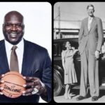 10 Men With The Biggest Hands Ever Recorded In The World