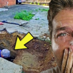 Man Was Hearing Strange Noises Under Driveway, What He Found Will Surprise You.