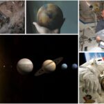 20 Insanely Cool Facts About Our Solar System