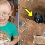 Girl Disappears for 5 Years Until Dad Notices Something Suspicious About His Wife