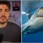 Scientist Explains the Reasons Behind Britain's First Shark Attack in 175 years, in Which a Woman Wa...