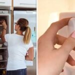 People are Just Realising That the Numbers on Fridge Dials Don't Indicate Temperature