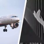 Pilot Allowed His Children To Control Plane, Leading to a Horrif!c Crash that K!lled All Passengers