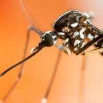 There is a Significant Rise in a Fatal Illness in Europe - Here are the Symptoms & Signs to Reco...