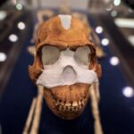 The World's Oldest Known Burial Site Wasn't Made by Humans.