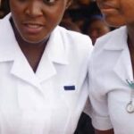Nigerian Nurses in the UK and US Forced to Return Home Due to Verification Issues