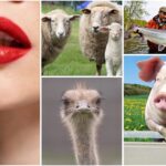 10 Unusual Ingredients Found in Beauty Products