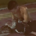 Drunk Man Gets into a F!ght with a Python on the Street (Video)