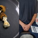 Man Amputates His Own P*n!s and Preserves It in a Snow-Filled Jar After Consuming Magic Mushrooms