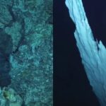 Scientists Uncover 'Lost City' Deep in the Atlantic Ocean Unlike Anything Ever Seen on Earth
