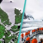 Scientists Express 'Serious Concerns' as Image Reveals Antarctica Turning Green at a 'Dramatic' Rate