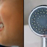 Scientists Discover 'Never-Before-Seen Viruses' in Toothbrushes and Shower Heads