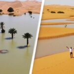 Sahara Desert Experiences Rare Flooding in Once-in-50-Year Event