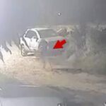 Creepy Video Shows Running Dog Seemingly Transforming into a Man