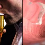 Simulation Reveals Effects of Consuming Alc*hol on an Empty Stomach