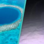 Divers Reveal D!sturbing Discovery After Reaching the Bottom of the Great Blue Hole