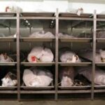 Enugu State Government Imposes Daily Levies on C*rpses in Mortuaries