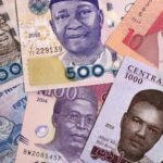 Naira Declines by 43%, Ranked as One of Africa's Worst-Performing Currencies – World Bank