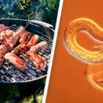Ten People Contract Parasitic Worms from Consuming Rare Barbecue Meat
