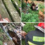 Trag!c Incident: Man Pursued by Police Officers D!es After Falling into a Canal