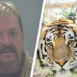 Update on 'Tiger King' Joe Exotic as He's 'Quarantined' in Maximum-Security Prison. You Won’t Believ...