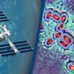 Bacteria Mutates on International Space Station into Something That Earth has Never Seen Before