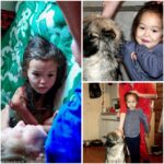 “Lost for 11 Days: How a Loyal Dog Saved Little Karina Chikitova from the Wild”